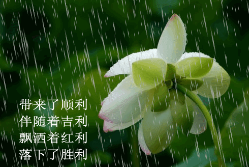 【春韵润绿茵】“农民诗人”曹南强//雨水（五首）（图3）