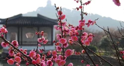 【九江文学社：北京头条】推荐欣赏庞古洲先生精品佳作（图8）