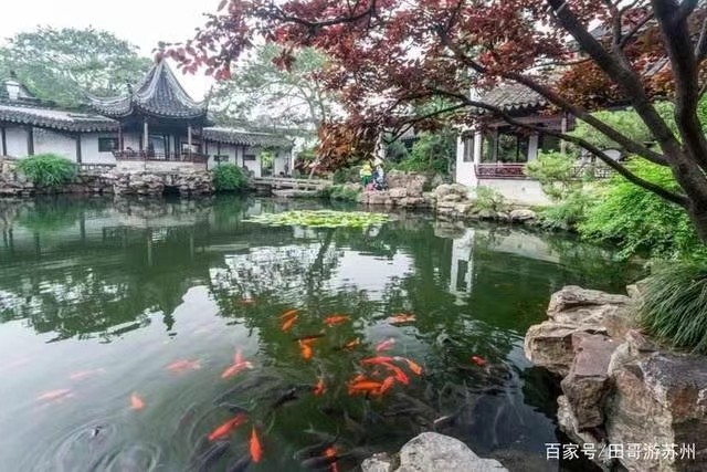 【九江文学社：北京头条】推荐欣赏庞古洲先生精品佳作（图6）