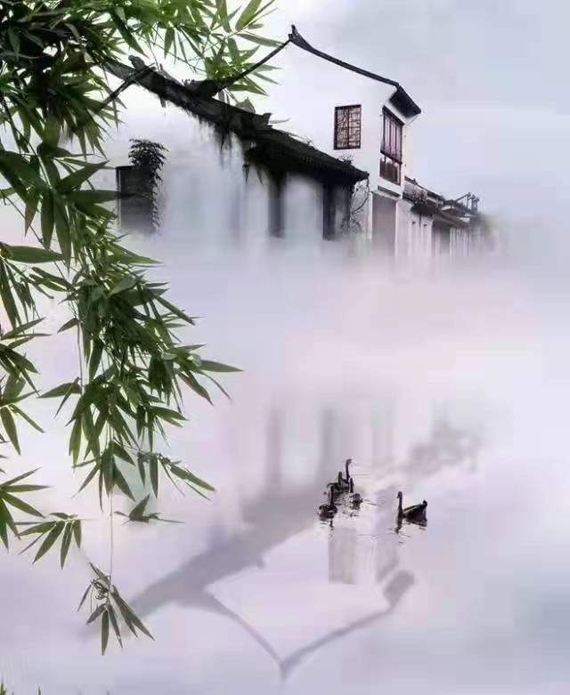【枫雅汇看图约诗】第224期《朔雾春江鸭几声》(图2)