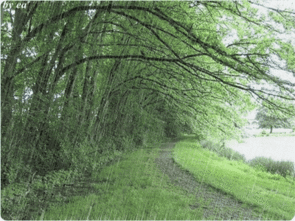 《祈盼一场春雨，拥抱崭新的春》作者/清溪 主播/明宏 编辑/胡琴（图2）