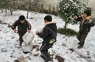 《春》作者/陈淑侠 主播/一土黄沙 审核/金桩 编辑/胡琴(图2)
