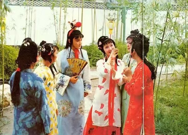 〔诗歌小辑〕红楼梦 文/瑞雪丰韵(浙江)【冰心文化传媒】(图4)