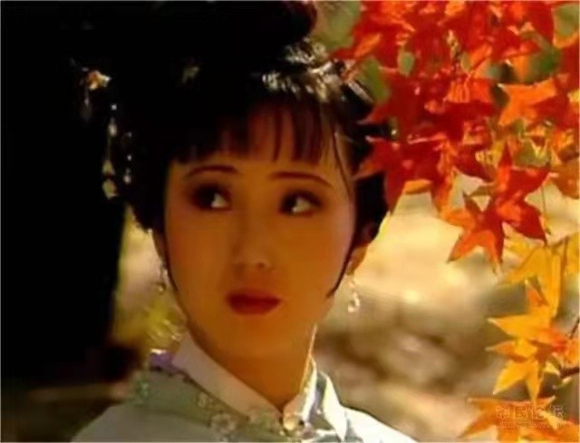 〔诗歌小辑〕红楼梦 文/瑞雪丰韵(浙江)【冰心文化传媒】(图6)