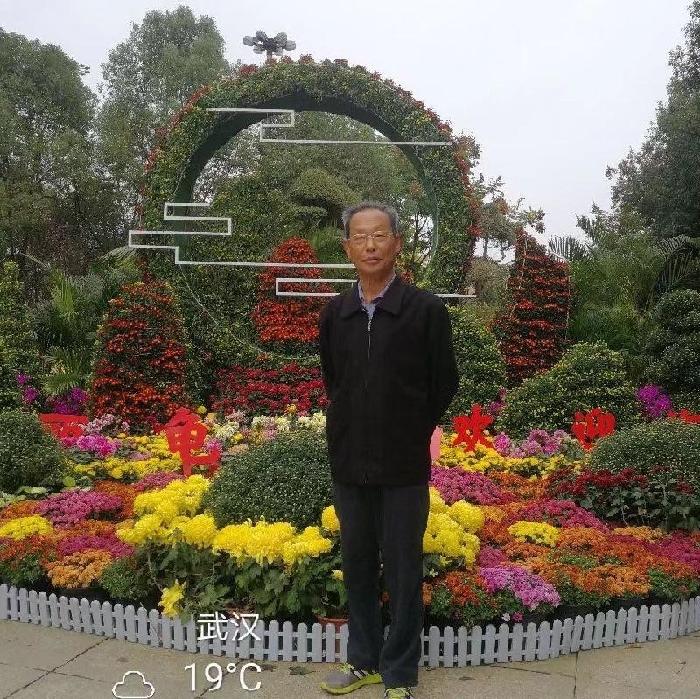 〔绝律三首〕作者 李道成（武汉）【冰心文化传媒】（图6）