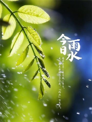 【九江文学社：北京头条】雨水时节专刊（图2）