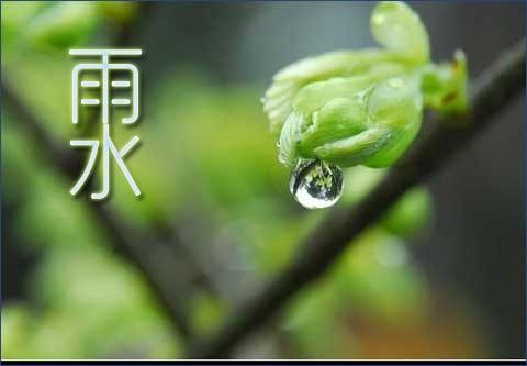 【九江文学社：北京头条】雨水时节专刊（图5）