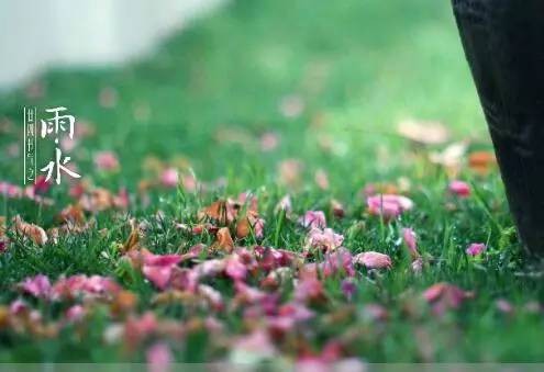 【九江文学社：北京头条】雨水时节专刊（图7）