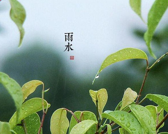 【九江文学社：北京头条】雨水时节专刊（图8）
