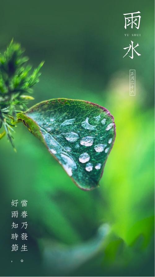 【九江文学社：北京头条】雨水时节专刊（图6）