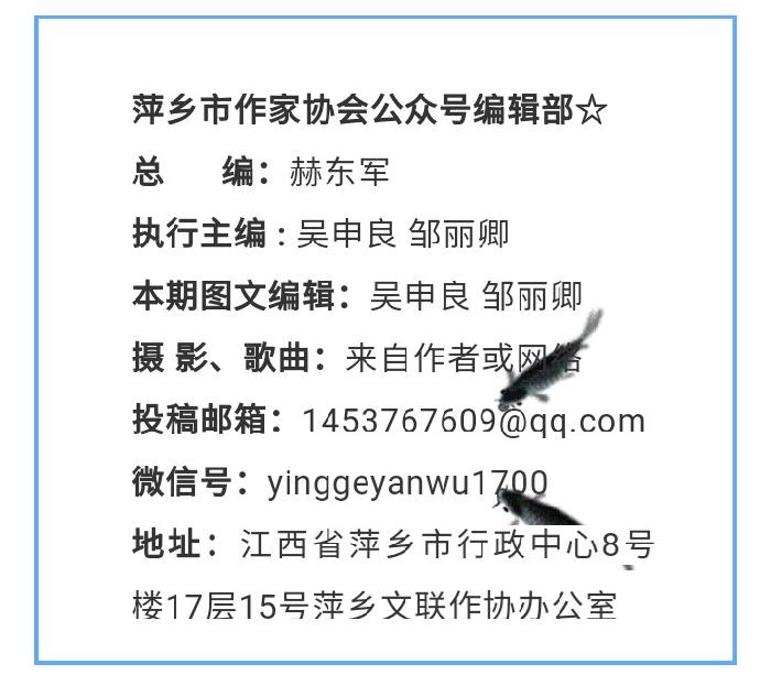 经风历雨的行程——武功山夕阳红器乐团首次义演侧记(图8)