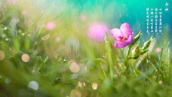 【九江文学社：北京头条】雨水时节专刊（图15）