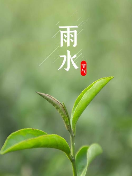 【九江文学社：北京头条】雨水时节专刊（图4）