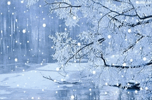 洛城飞雪:作者 上官飞龙|海外头条(图3)