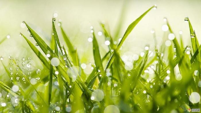 【九江文学社：北京头条】雨水时节专刊（图10）