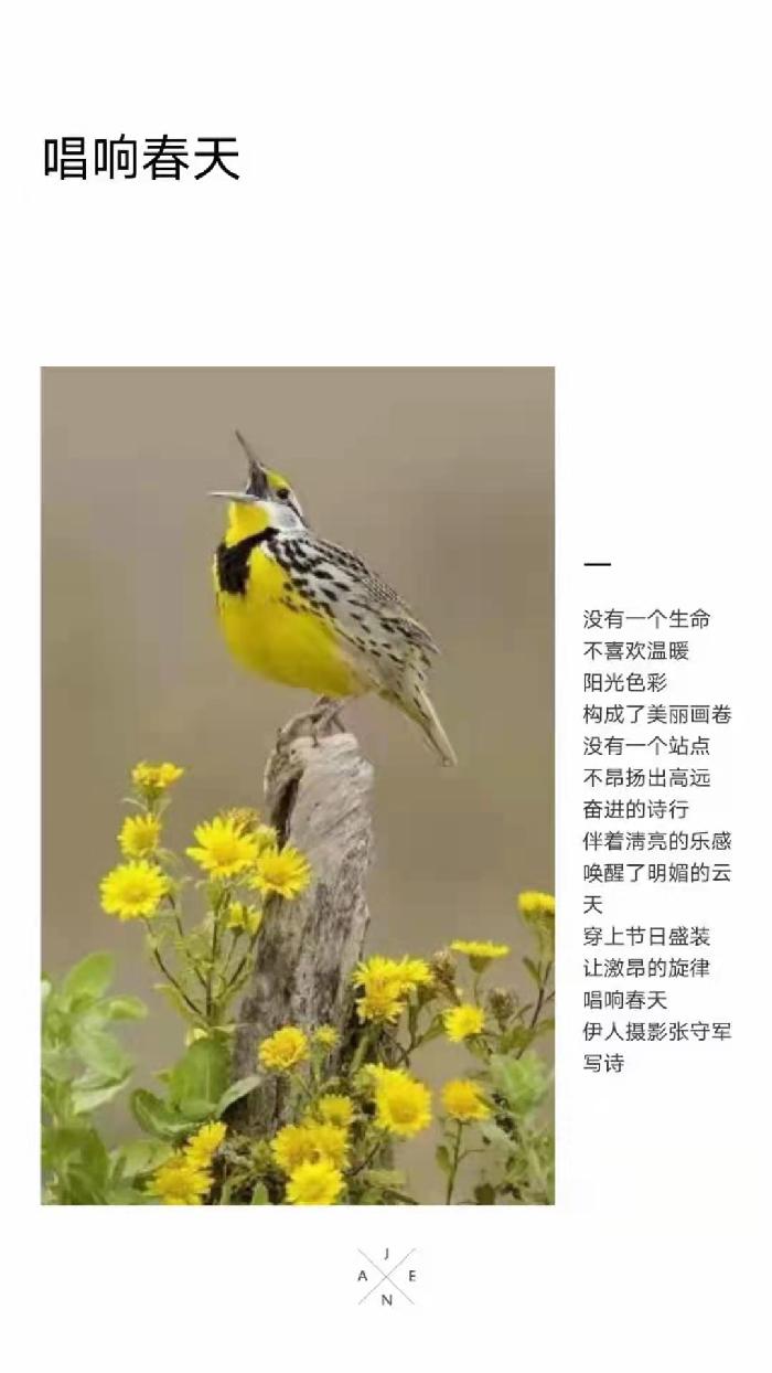 【雅诗总会】精品★春的韵律——张守军诗配画作品一览（图5）
