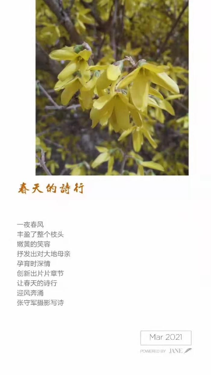 【雅诗总会】精品★春的韵律——张守军诗配画作品一览（图4）