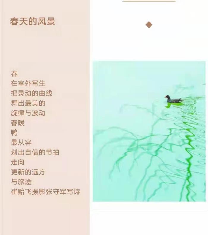 【雅诗总会】精品★春的韵律——张守军诗配画作品一览（图6）