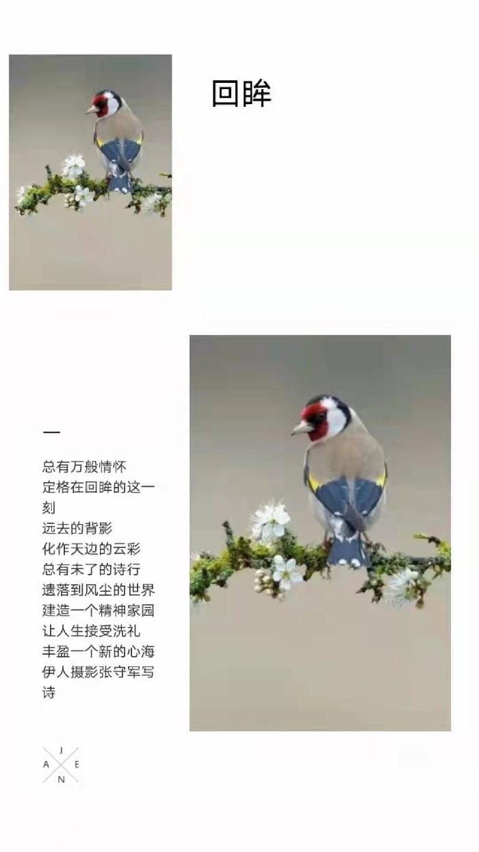【雅诗总会】精品★春的韵律——张守军诗配画作品一览（图7）
