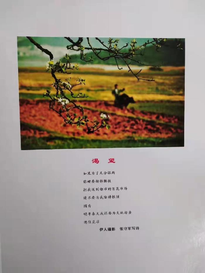 【雅诗总会】精品★春的韵律——张守军诗配画作品一览（图10）