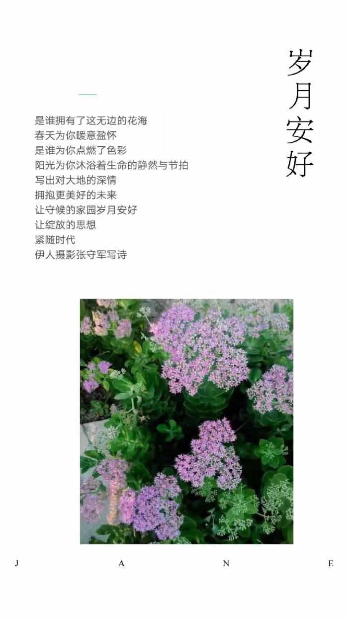 【雅诗总会】精品★春的韵律——张守军诗配画作品一览（图8）