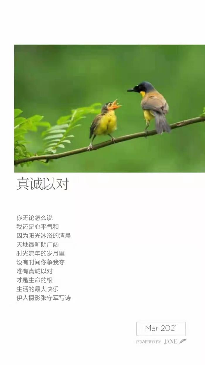 【雅诗总会】精品★春的韵律——张守军诗配画作品一览（图9）