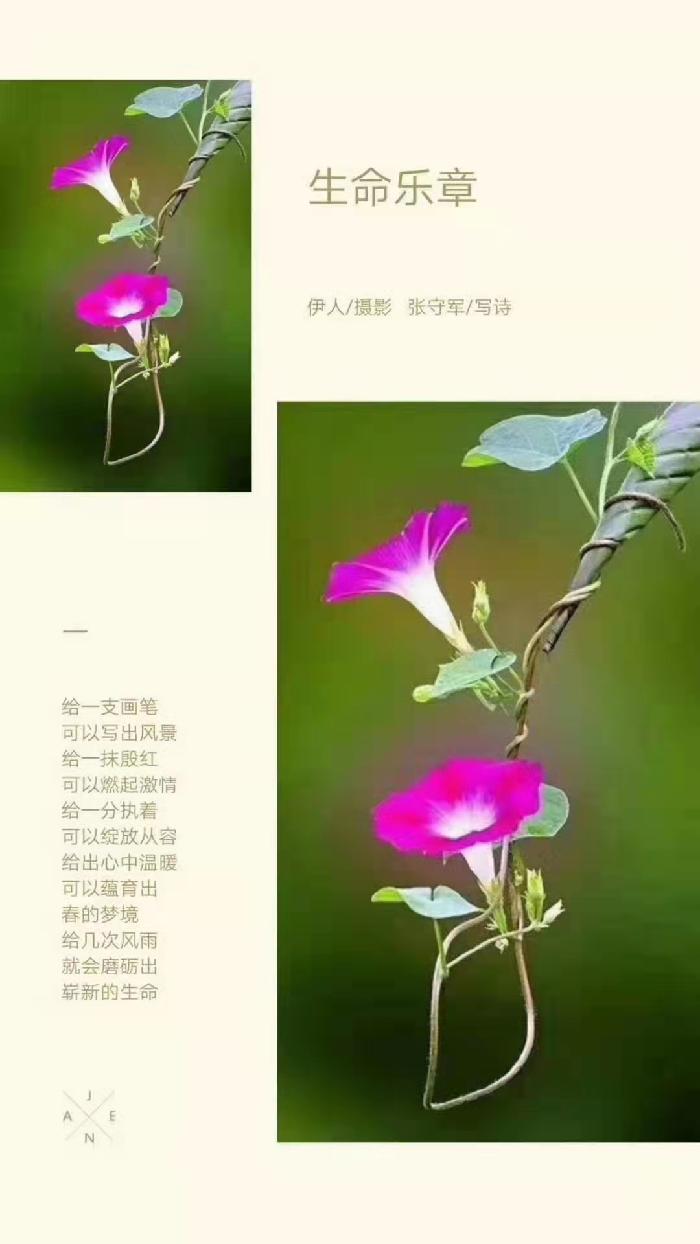 【雅诗总会】精品★春的韵律——张守军诗配画作品一览（图11）