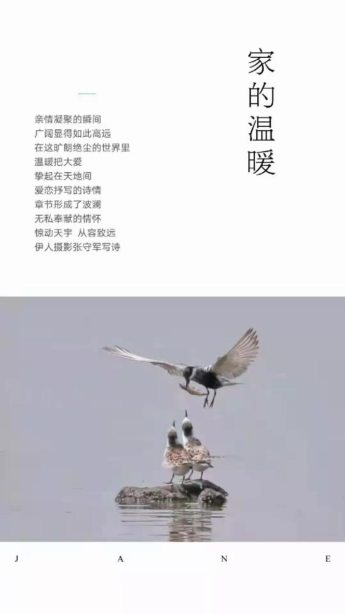 【雅诗总会】精品★春的韵律——张守军诗配画作品一览（图12）