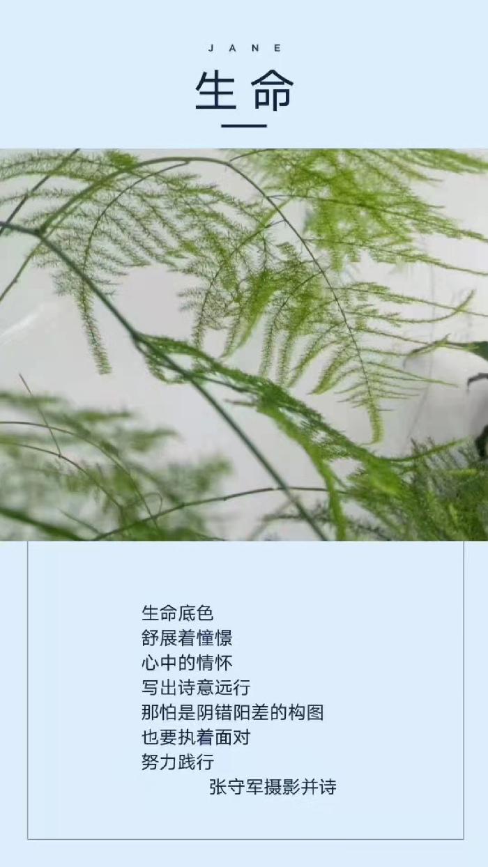 【雅诗总会】精品★春的韵律——张守军诗配画作品一览（图14）