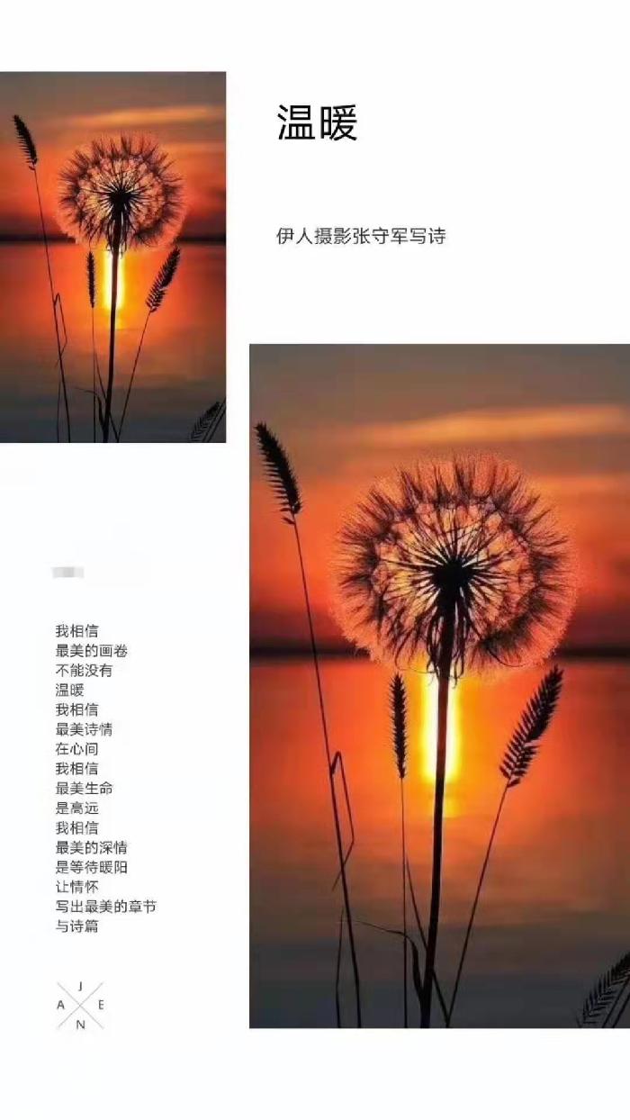 【雅诗总会】精品★春的韵律——张守军诗配画作品一览（图13）