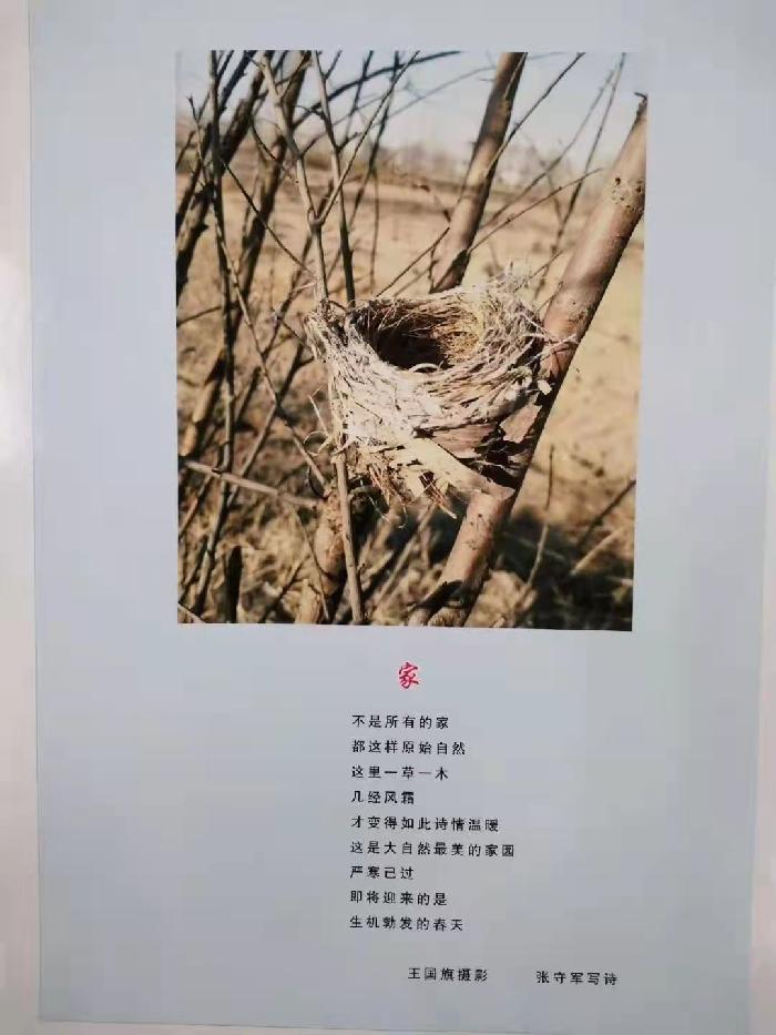 【雅诗总会】精品★春的韵律——张守军诗配画作品一览（图15）