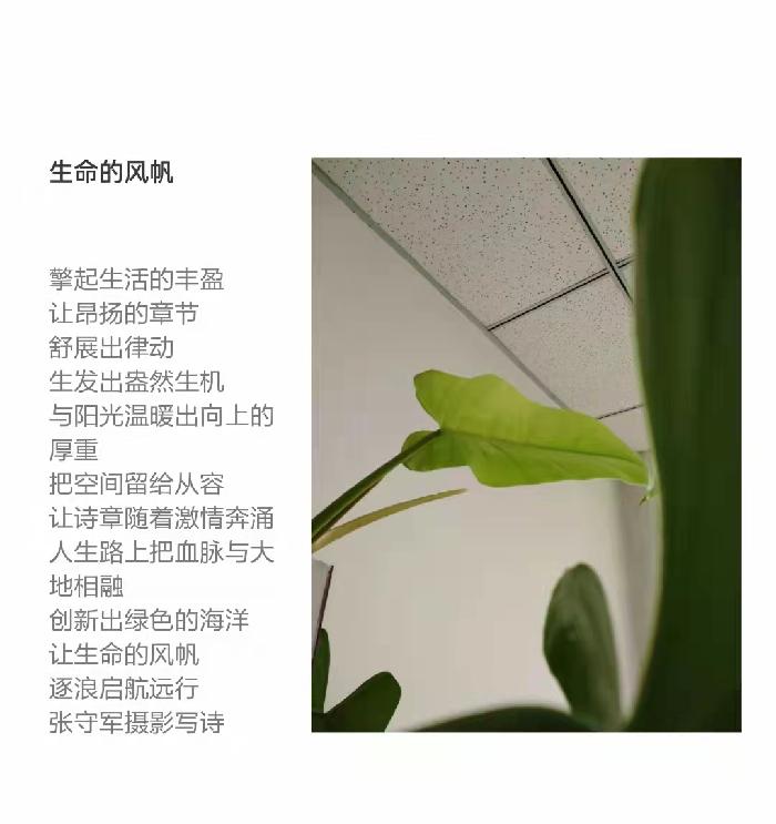 【雅诗总会】精品★春的韵律——张守军诗配画作品一览（图19）