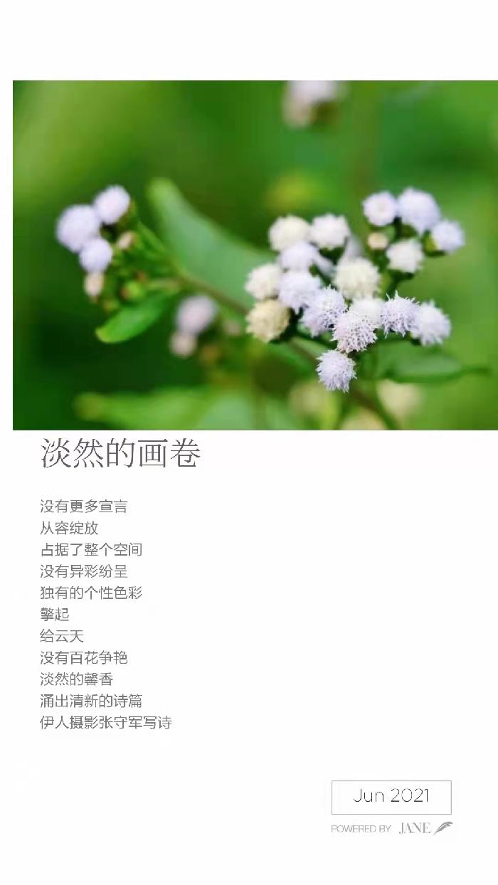 【雅诗总会】精品★春的韵律——张守军诗配画作品一览（图18）