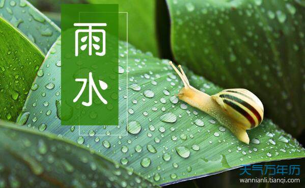 七律•雨水 文／张金铎（图2）