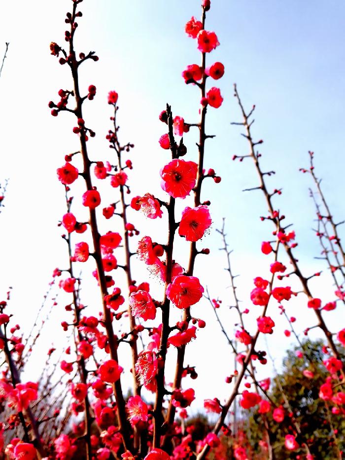 吕义孝||（图•文）取景（外一首）（图12）