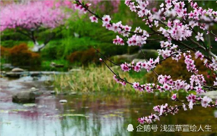 雨水诗词三首 王香谷（悉尼）【冰心文化传媒】（图5）