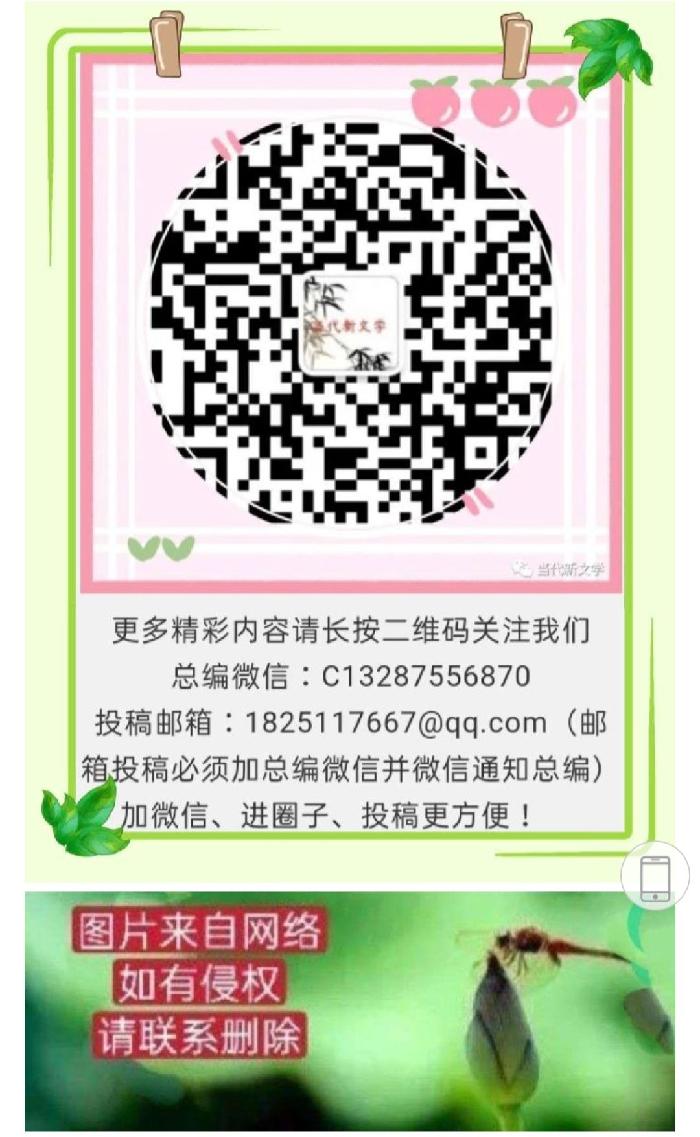 叶兴方：气排球之情缘 请欣赏（图11）
