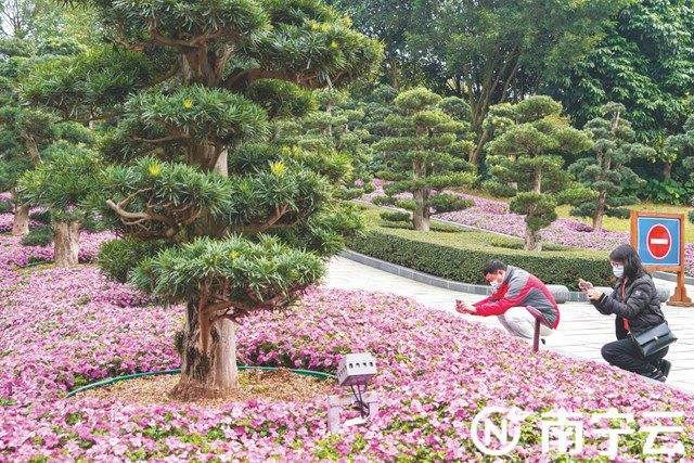 【神都诗社】第01期《咏春》（图30）