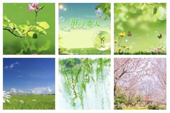 【一七令·春天】文/风鸽（张晓峰）【冰心文化传媒】（图3）