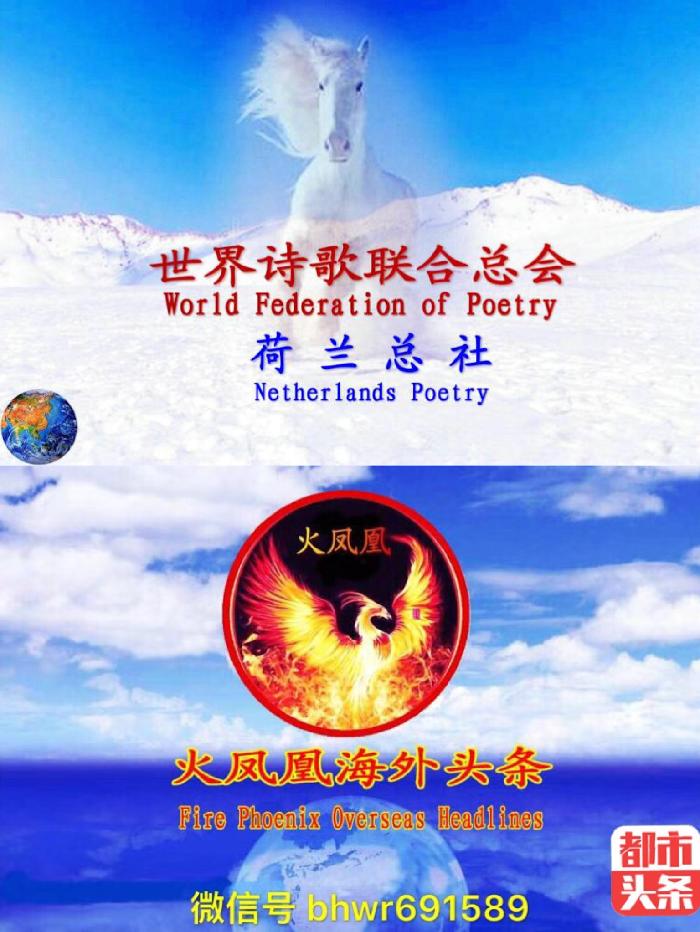 晚晴老师倾情演绎山之子老师的精品佳作:你是天下春之母|为三·八国际劳动妇女节献礼!海外头条(图8)