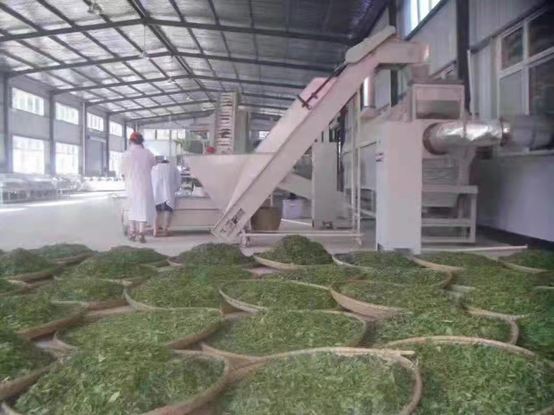 第二届《江南风诗刊》“古洞春”茶香流韵诗歌大赛参赛作品选登(七)(图5)