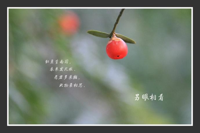 〔诗词小辑〕作者 天随子(贵州)【冰心文化传媒】(图4)