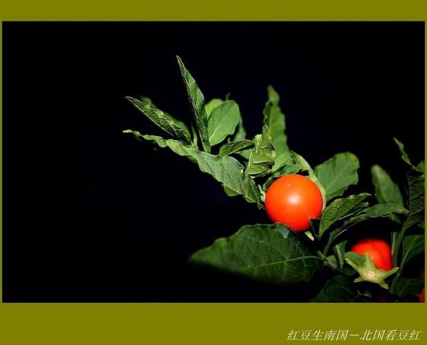 〔诗词小辑〕作者 天随子(贵州)【冰心文化传媒】(图3)