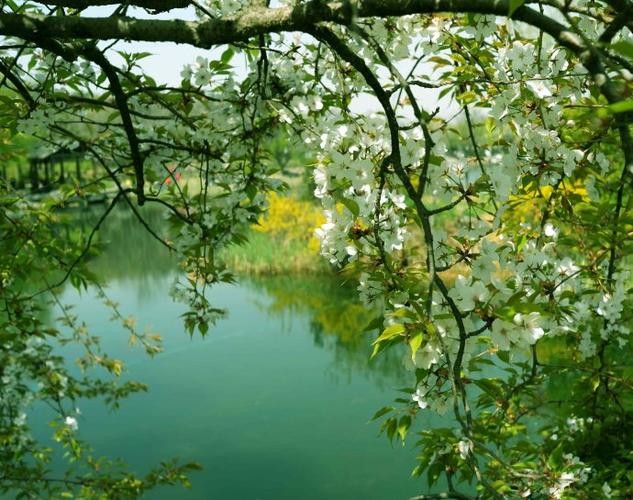 〔散文诗小辑〕作者 天随子(贵州)【冰心文化传媒】(图10)