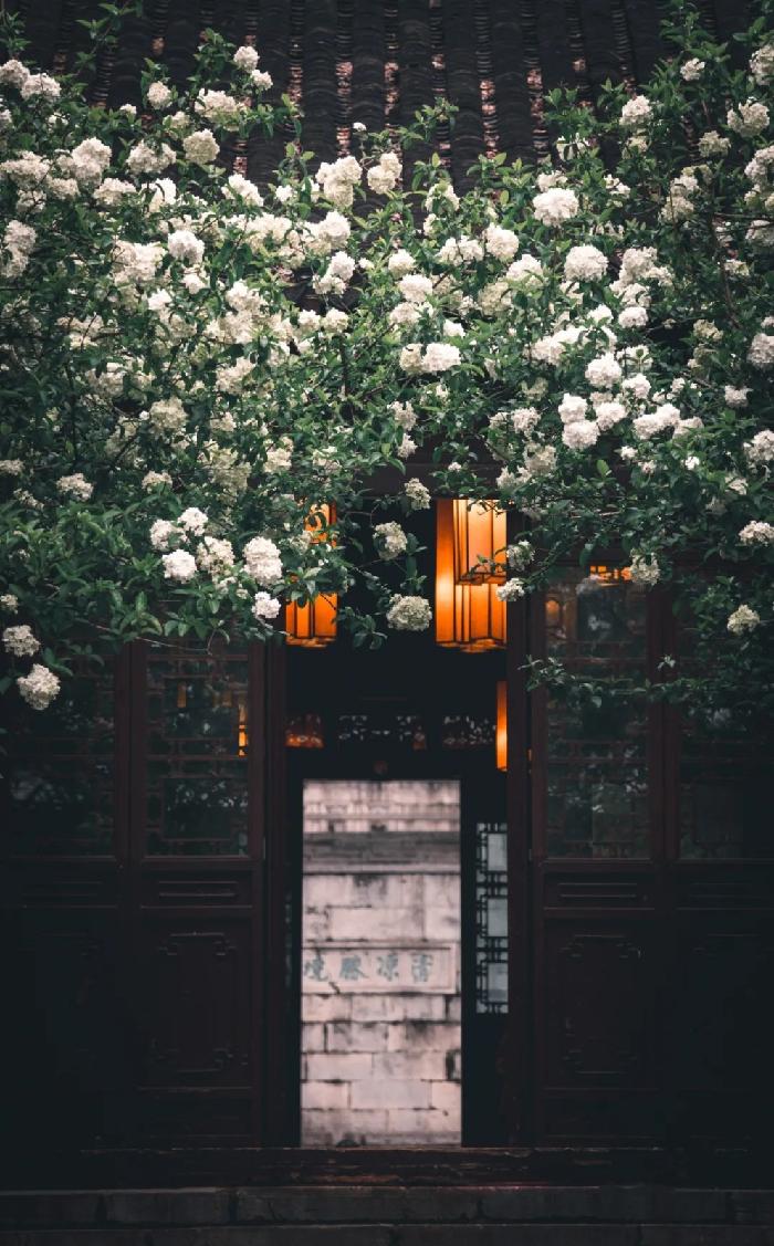 【当代文艺】小巷(外一首)作者:小悠(图3)