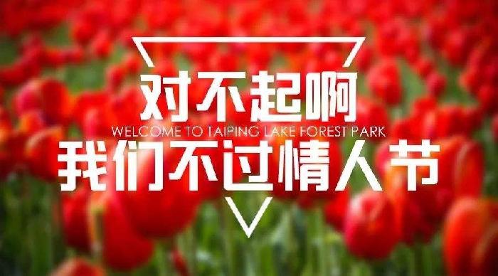 《中国爱情诗刊》 【中国爱情诗人档案】(第4214期)海南诗人:邢增海的诗(图3)