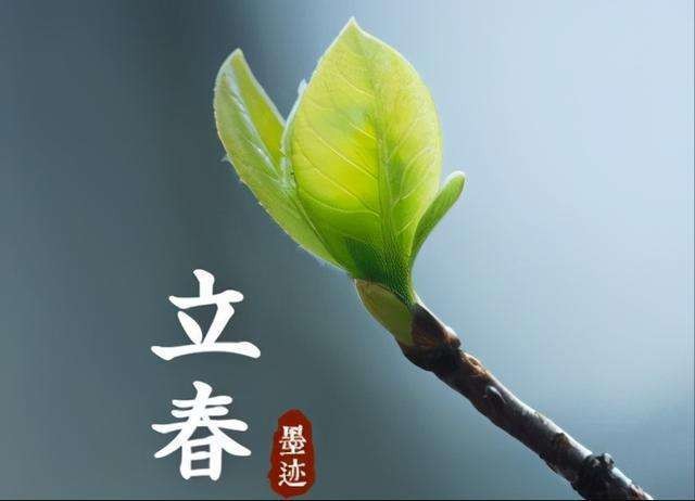 【潇湘文学社】潇湘问梅诗社《新春/立春》（总268期）（图14）