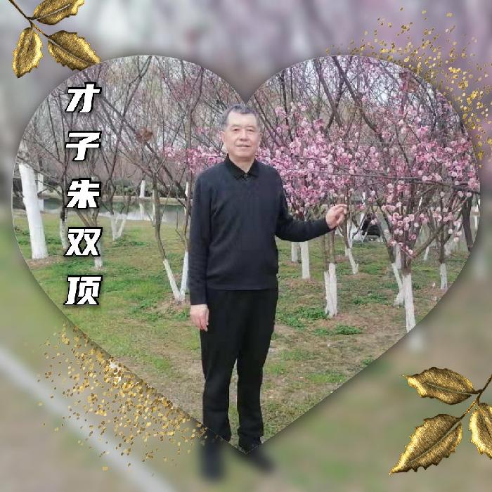 【当代文艺】《折柳寄情向未来》作者:朱双顶(图7)