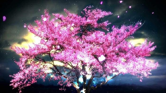 【都市头条向幸福出发编辑部】第188期 你的诗 文 如月 主播 张春荣