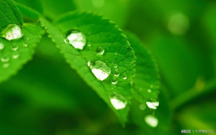 【创研诗词群】诗词精选||总二十八期(图3)